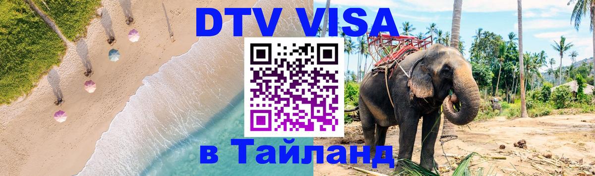 Оформление DTV визы под ключ: стоимость и тарифы, только загранпаспорт - 19.11.2025 